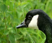 Photography chat thread - for all who are into Photography in whatever form