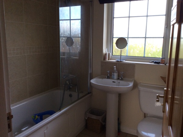 Is there anything I can do to make this a 'family' bathroom? Picture included!