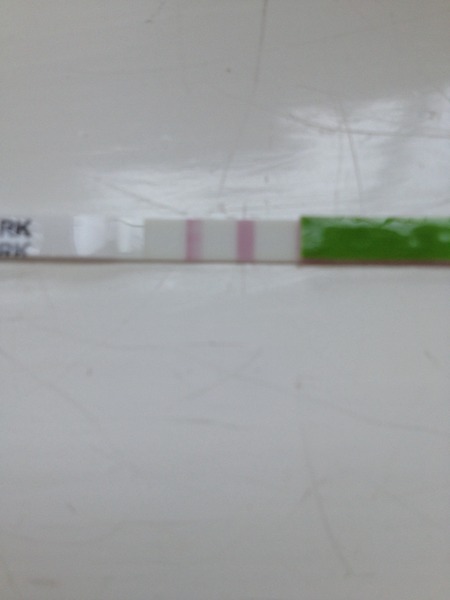 Going Clucking mental? Old birds gather round.....