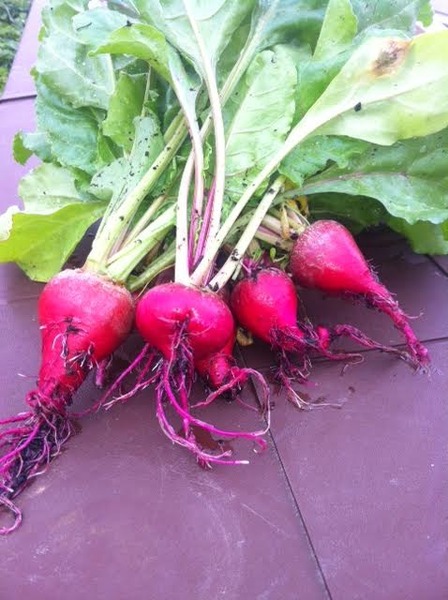 Growing fruits and vegetables