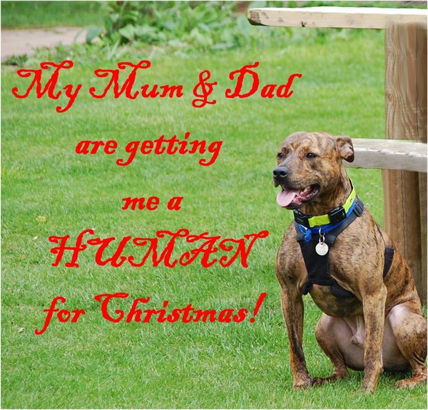 December 2014 Thread #4