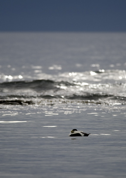 Photography chat thread - for all who are into Photography in whatever form