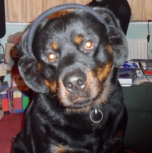 to ask for your Home Ed ideas, experiences and anecdotes?