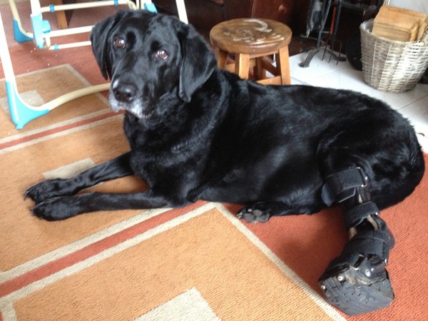 Maintaining weight & cheaters confessional