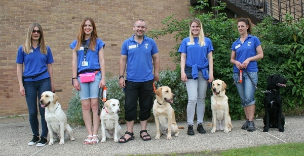 Brilliant school talks by Guide Dogs