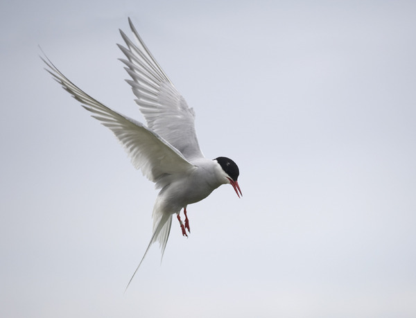 Photography chat thread - for all who are into Photography in whatever form