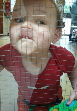 jan 2013- No, I will not have a new nappy