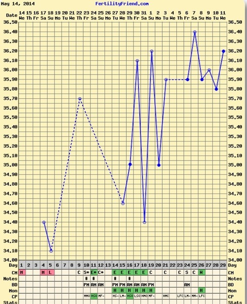 Please look at my first attempt of temping.. Am I pregnant?