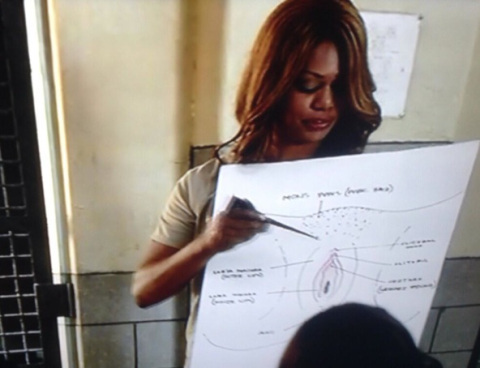 Following on from the TERF thread...