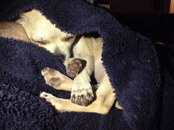 Maintaining weight & cheaters confessional