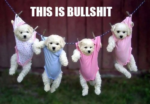 To think women with more than one sister aren't to be trusted...