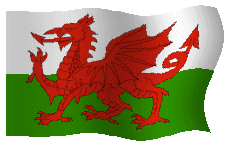 Patch keeps falling off.