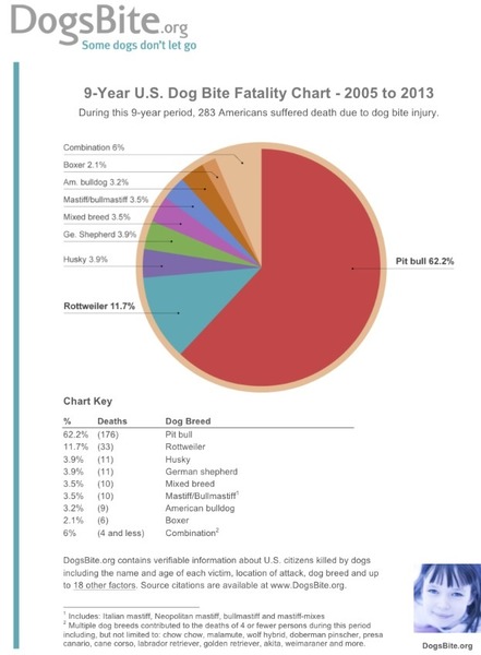 Would you use a CM with a Rottweiler?