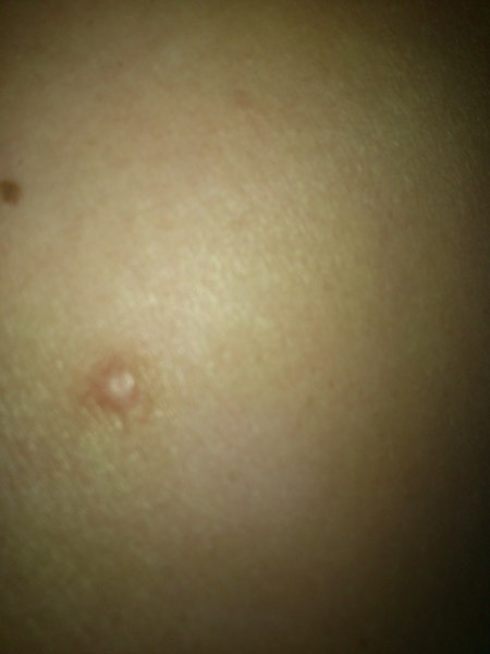 does anybody know what this is?