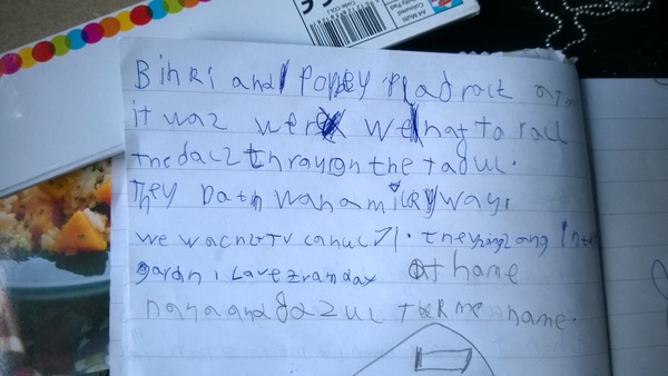 Should I be worried about DS1 handwriting/writing, and overall progress