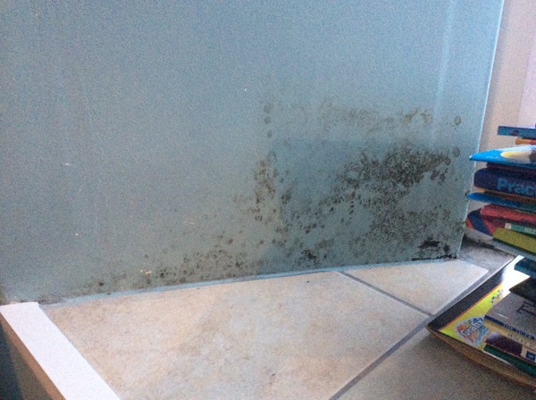 Wibu to ask for a reduction in rent so I can buy 'stuff' due to mould damage (sorry, long!)