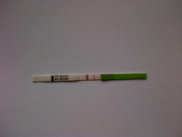 Would you say this is a +OPK? I'm on CD 9 today.