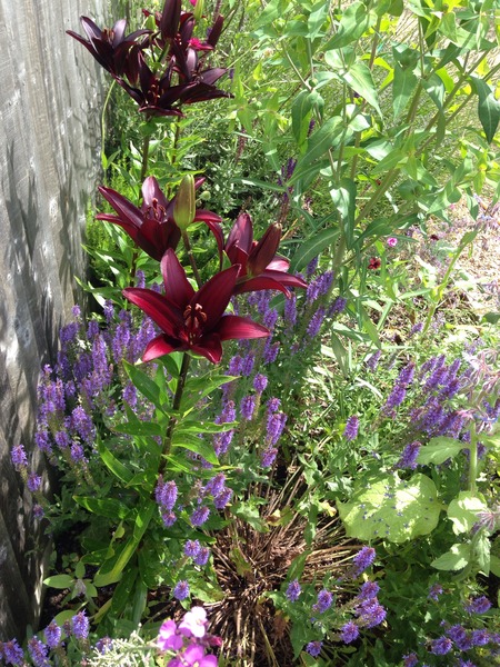 A garden is a lovesome thing, God wot!