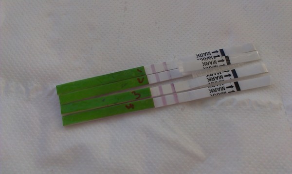 OPK as HPT, advice please!