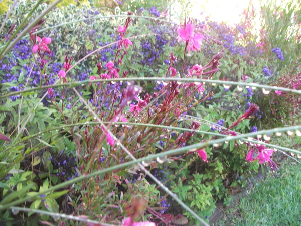 Moving into the Hospice