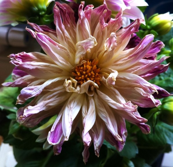 Photography chat thread - for all who are into Photography in whatever form