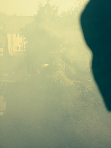 Neighbour burning garden waste