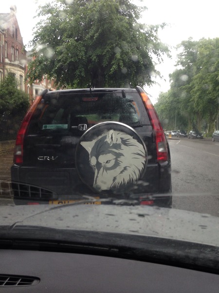 Who fancies 10km of mud and obstacles? Come and join Team Wolef