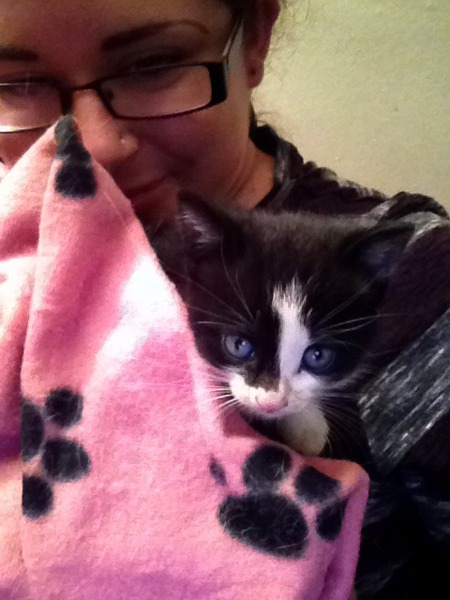 Found a kitten!!!