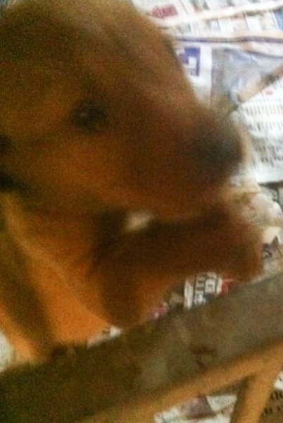 Maintaining weight & cheaters confessional