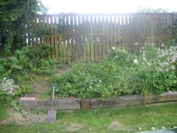 Renovating border