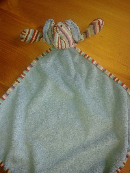 Found blue elephant taggy comforter-Chichester