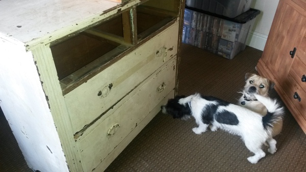 October 2014 - thread 8 - more growing tums, shopping & pubic topiary