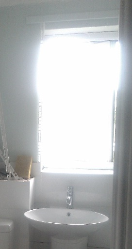 The tinest bathroom window...need to add a blind for colour, what do you suggest?