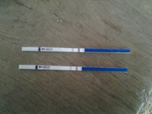 Going Clucking mental? Old birds gather round.....