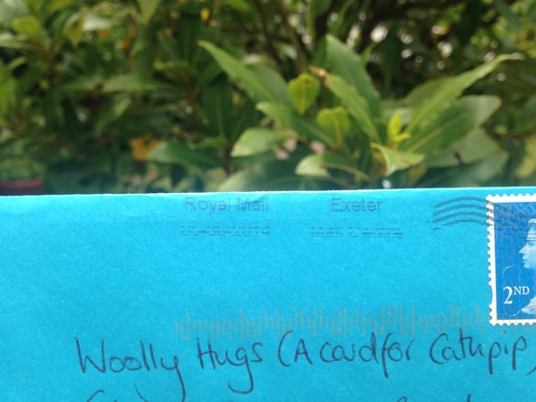 Woolly Hugs : We are making a blanket for the very lovely cathpip. Donors and crafters, can anyone help us?