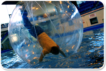 Needles and Neutrophils: The Hobnob Chronicles