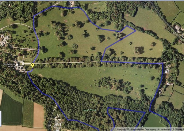 Parkrunners anonymous keep on running