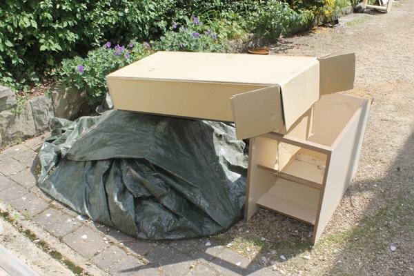 There's a hedgehog building a nest in my garden!