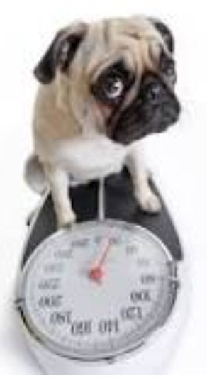 The 5:2 Thread number 46: Wild about Satan's Whizz (Diet Coke) ? Lazy Low Carbers, Pissed-off Piscatorians, Voracious Vegans, Ferocious Flexitarians,....... IF/5:2 can help you lose weight healthily.