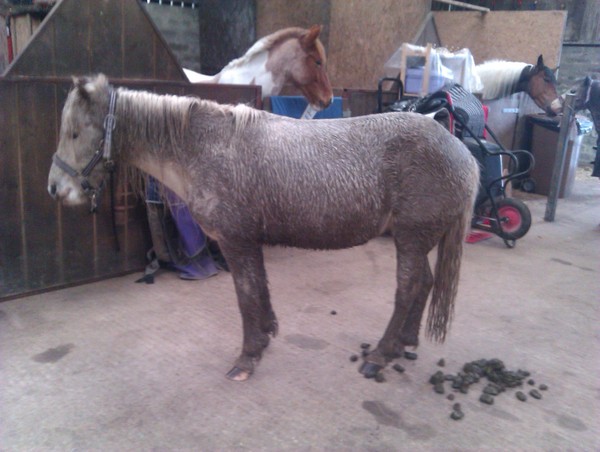 Maintaining weight & cheaters confessional