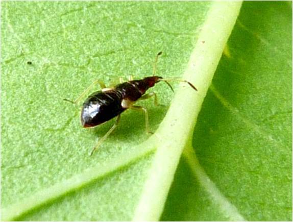 OK, this thing has bitten me twice now