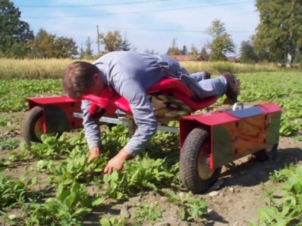 We're on a road through Ambridge, come on inside. Archers chat here