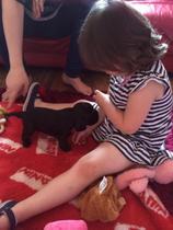 Puppy pictures
