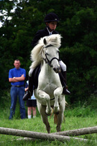 Maintaining weight & cheaters confessional