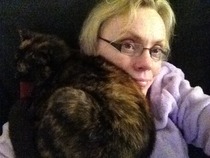 Shall we show off our cats? &#55357&#56832&#55357&#56832&#55357&#56832&#55357&#56832