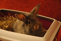 Maintaining weight & cheaters confessional