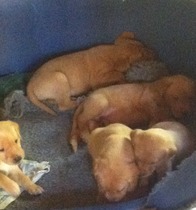 Maintaining weight & cheaters confessional