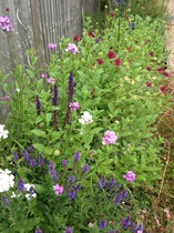 A garden is a lovesome thing, God wot!