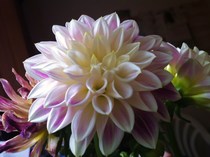 Photography chat thread - for all who are into Photography in whatever form