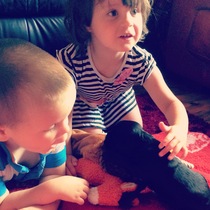 Puppy pictures